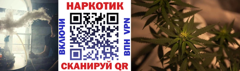 Наркота Новосибирск ссылка на мегу зеркало  Псилоцибиновые грибы  Гашиш  Меф  COCAIN 