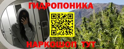 стаф Гусев