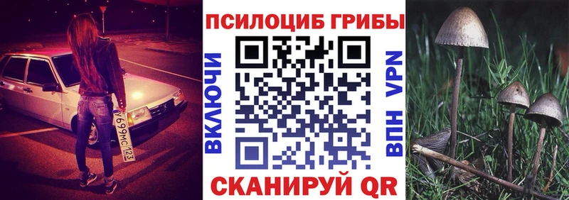 где можно купить наркотик  Новосибирск  Галлюциногенные грибы Cubensis 