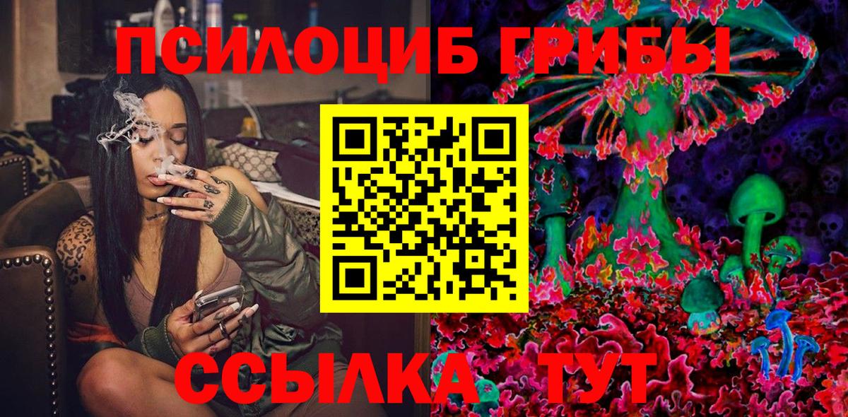 Новосибирск  Псилоцибиновые грибы мухоморы  Вход с VPN  магазин продажи   Псилоцибиновые грибы GOLDEN TEACHER 